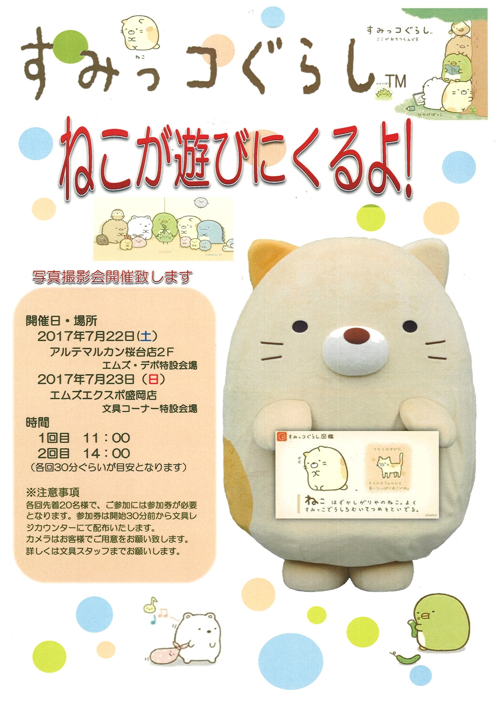 すみっコぐらしのねこが遊びにくるよ 新着情報 マルカン グループ公式サイト すみっコぐらしのねこが遊びにくるよ 新着情報 マルカン グループ公式サイト