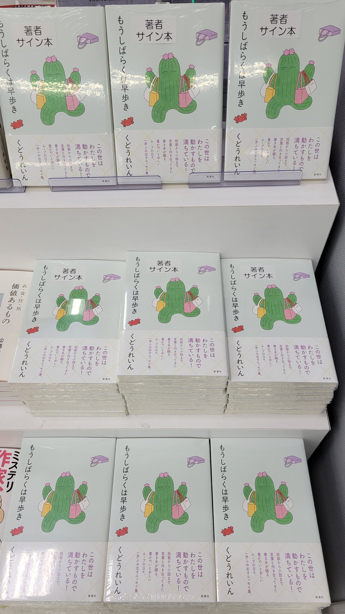 オススメ新刊情報！ | 新着情報 | [マルカン] グループ公式サイト