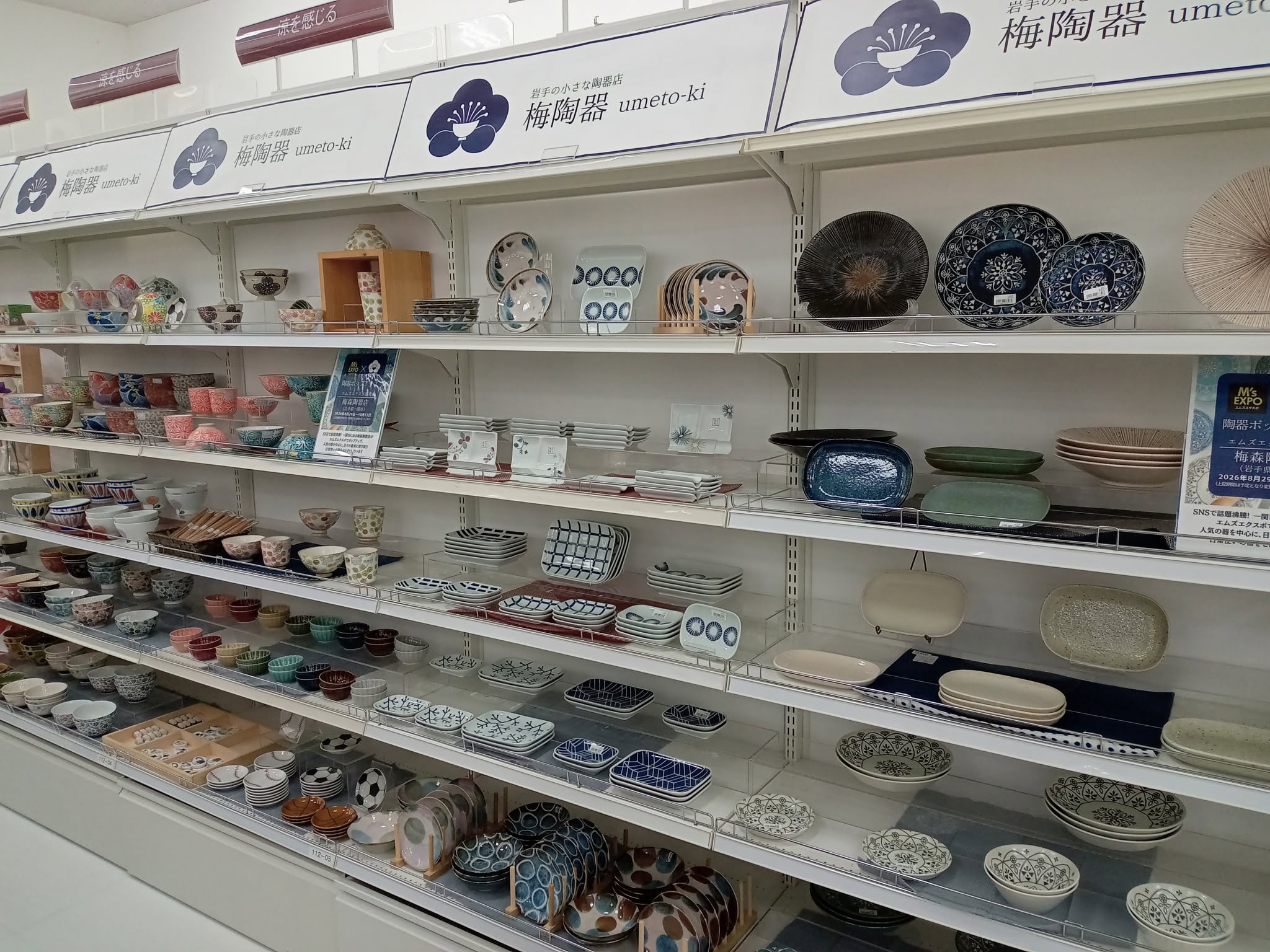 新着情報｜エムズエクスポ